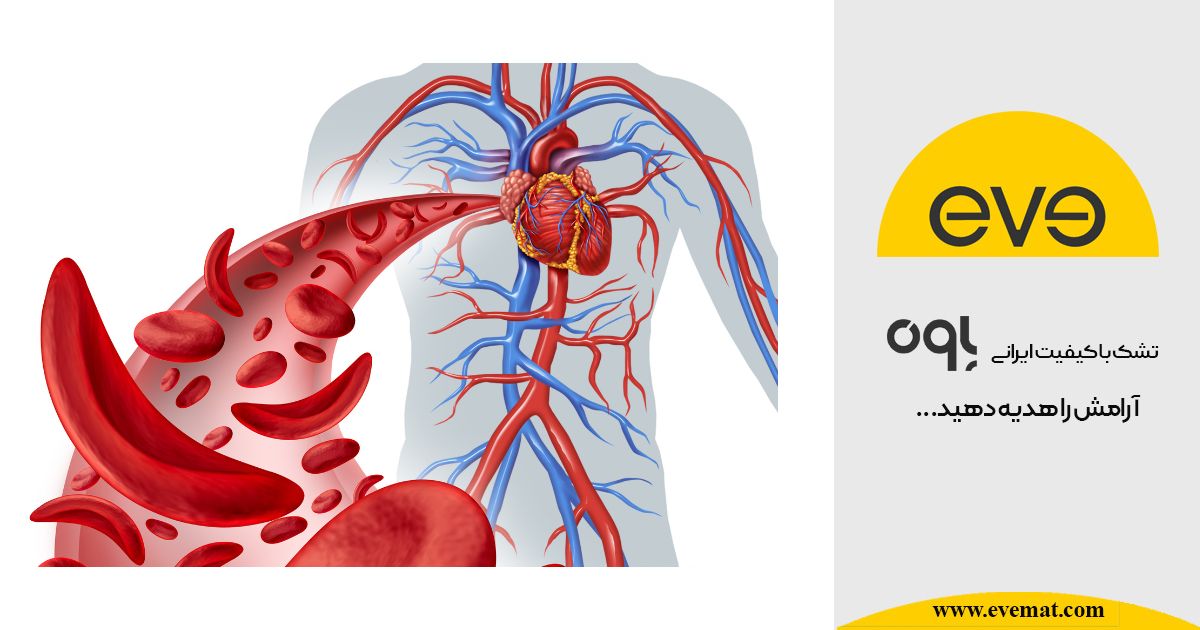 تشک طبی فنری و بهبود گردش خون