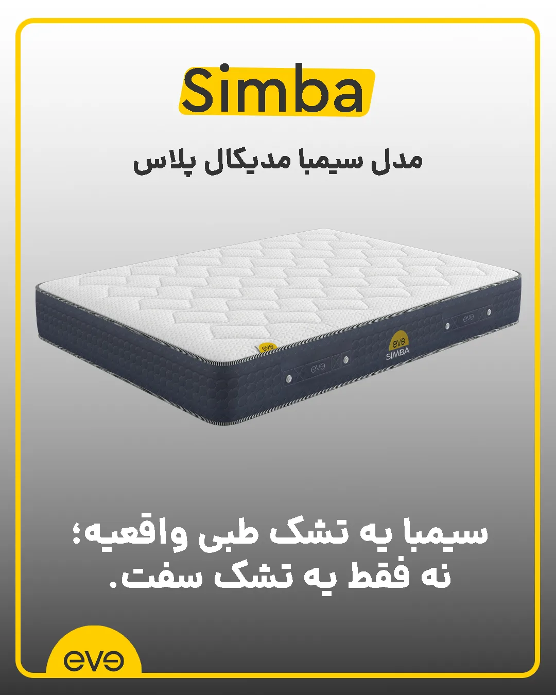 14040509 simba.1 1